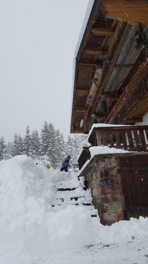 Oberseebachhof Scheffau am Wilden Kaiser Buitenkant foto
